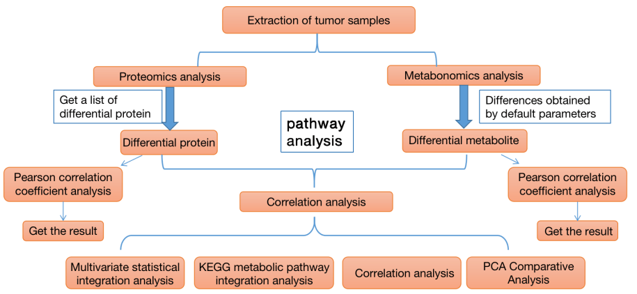 Combined Analysis of tumor by Proteomics and Metabolomics