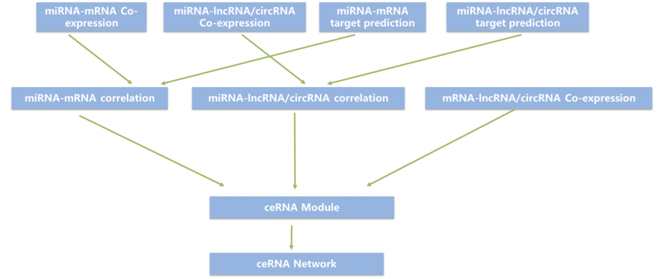 Correlation Analysis of expression and Regulation of ceRNA