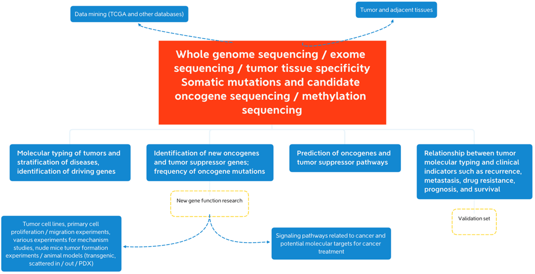 DNA-based Oncogene Research
