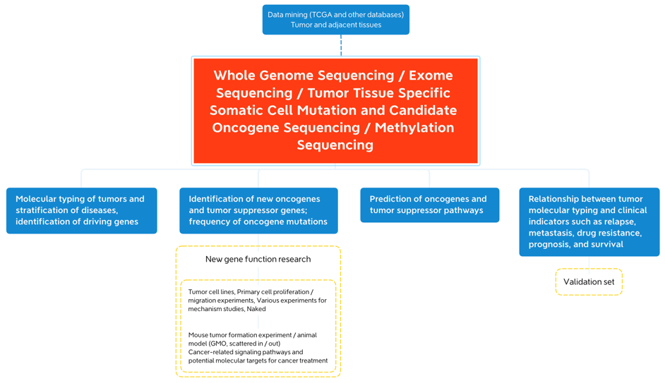 DNA-based Tumor Suppressor Genes