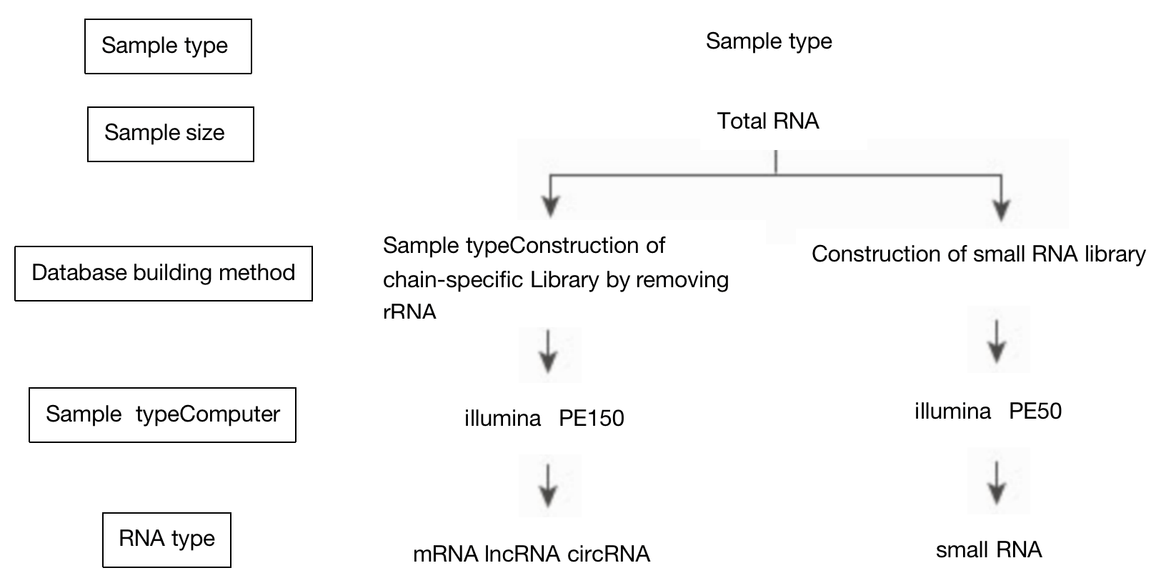 Full Transcriptome Joint Sequencing