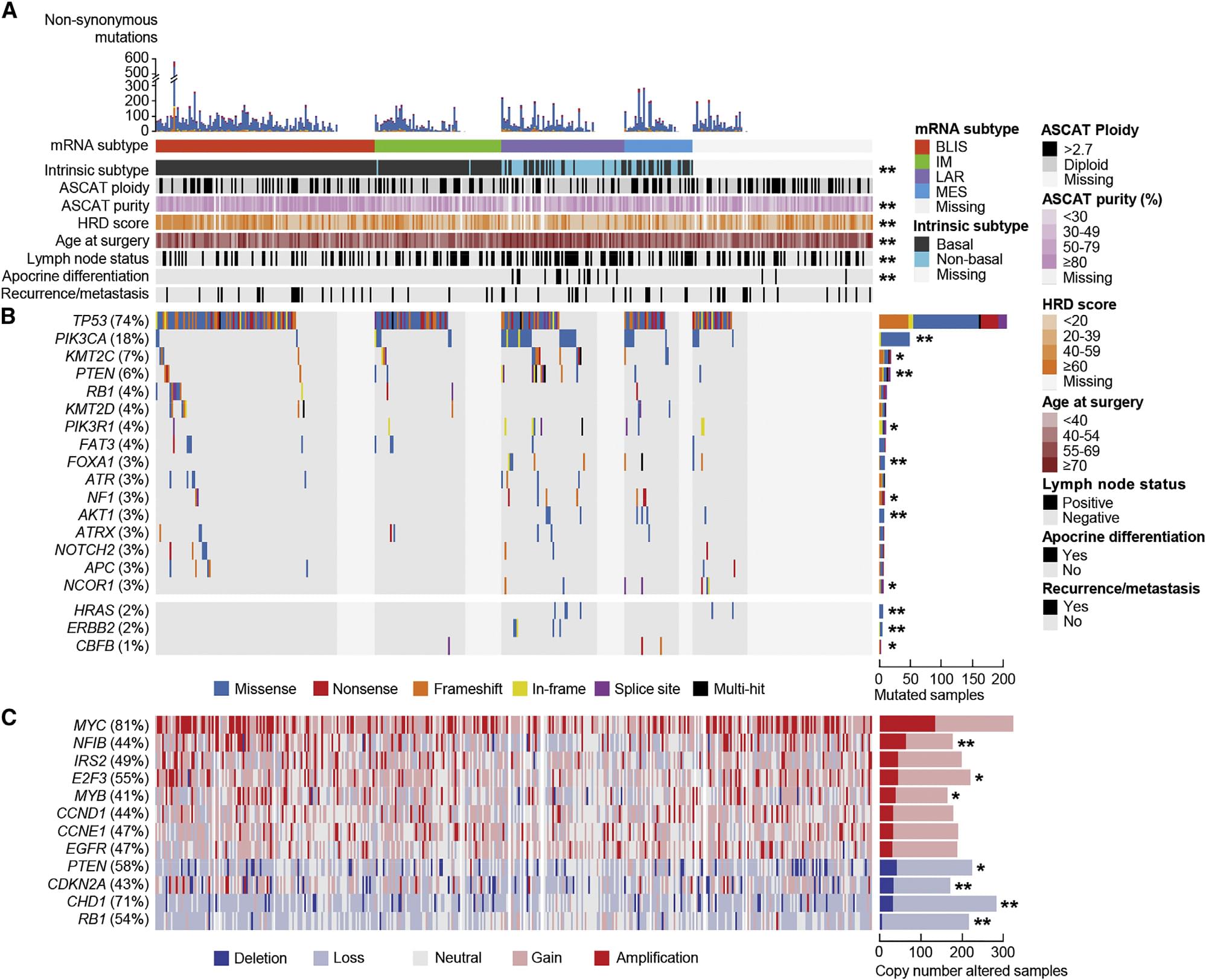 Genomic and Transcriptomic Landscape of Triple-Negative Breast Cancers