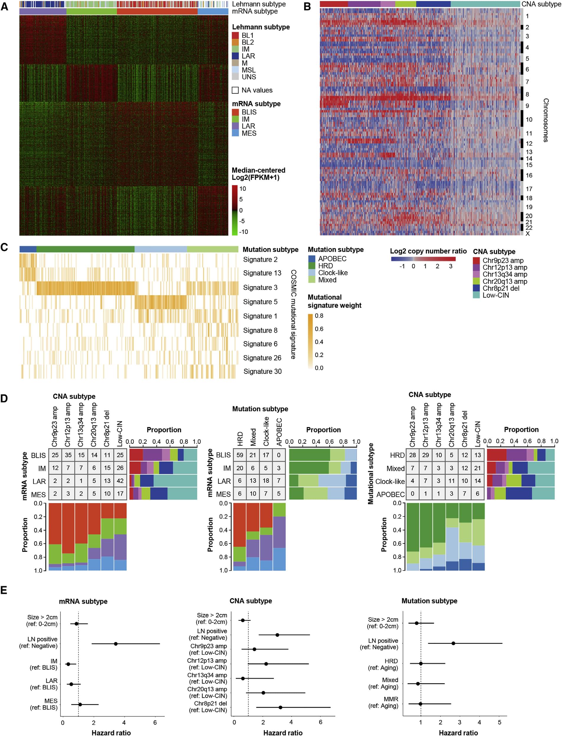 Genomic and Transcriptomic Landscape of Triple-Negative Breast Cancers