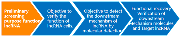 IncRNA Dual-Target Solutions