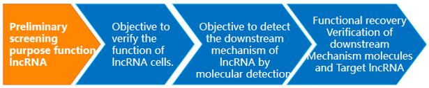IncRNA Two-Cell Solutions