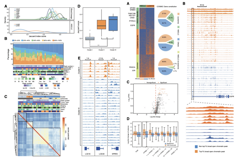 Integration of chromatin landscapes in NSCLC and the broad open chromatin region in NSCLC.