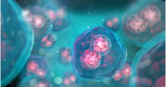 New Tumor Drugs Double-Cell Solutions