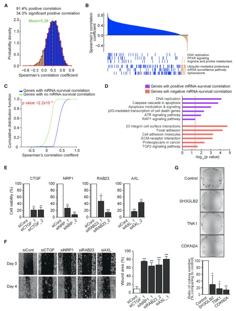 Correlation between mRNA and Protein Abundance Changes.