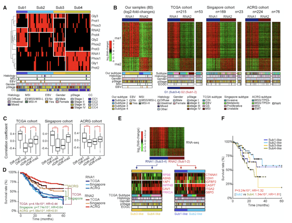 Subtypes of EOGC Identified by an Integrated Proteogenomic Analysis.