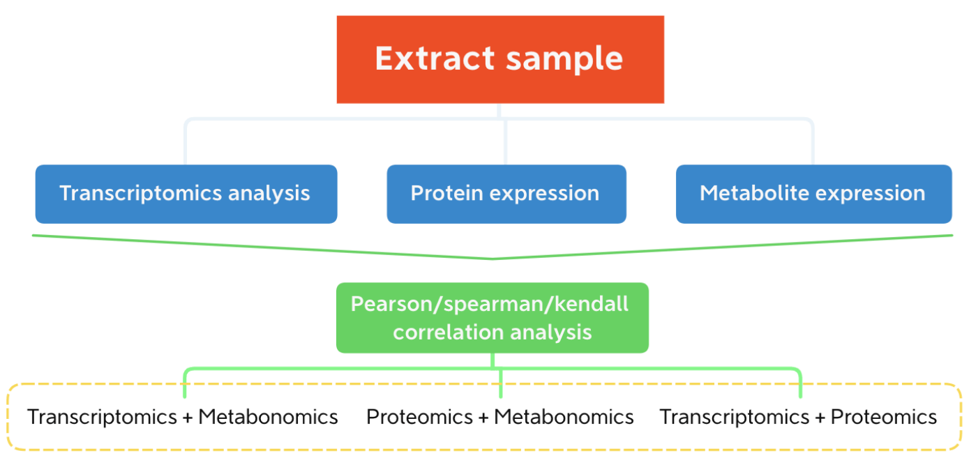 Tumor Proteomics/ Metabonomics/Transcriptomice corresponding