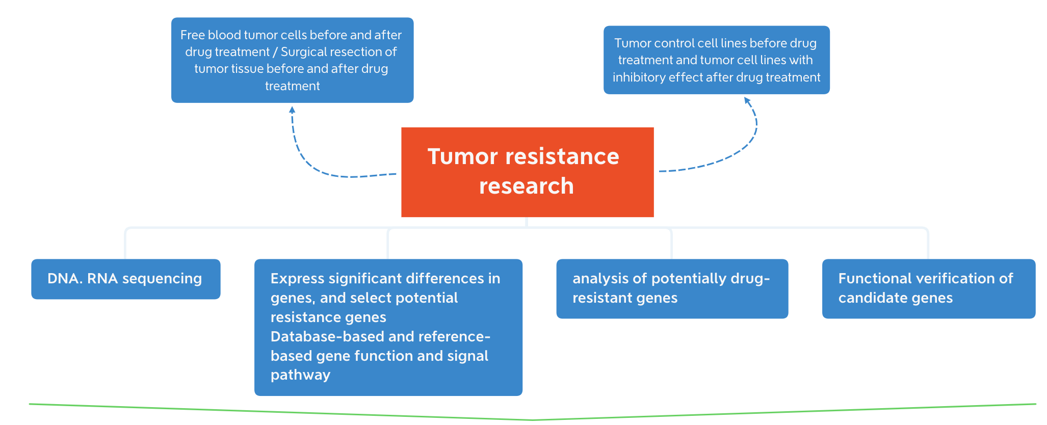 Tumor Resistance Mechanism Solutions