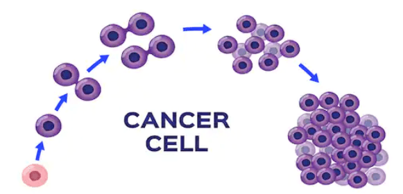 Tumor Cell Proliferation Assay