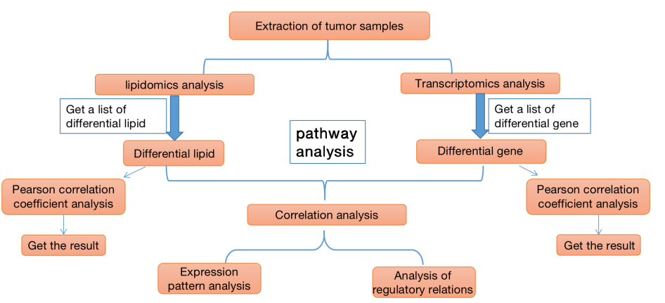 Tumor Proteomics and lipidomics analysis