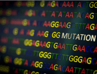 Cancer Gene Sequencing
