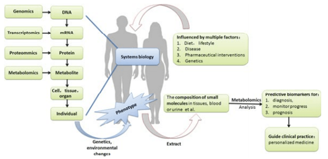 The outline of analytical metabolomics in patients.